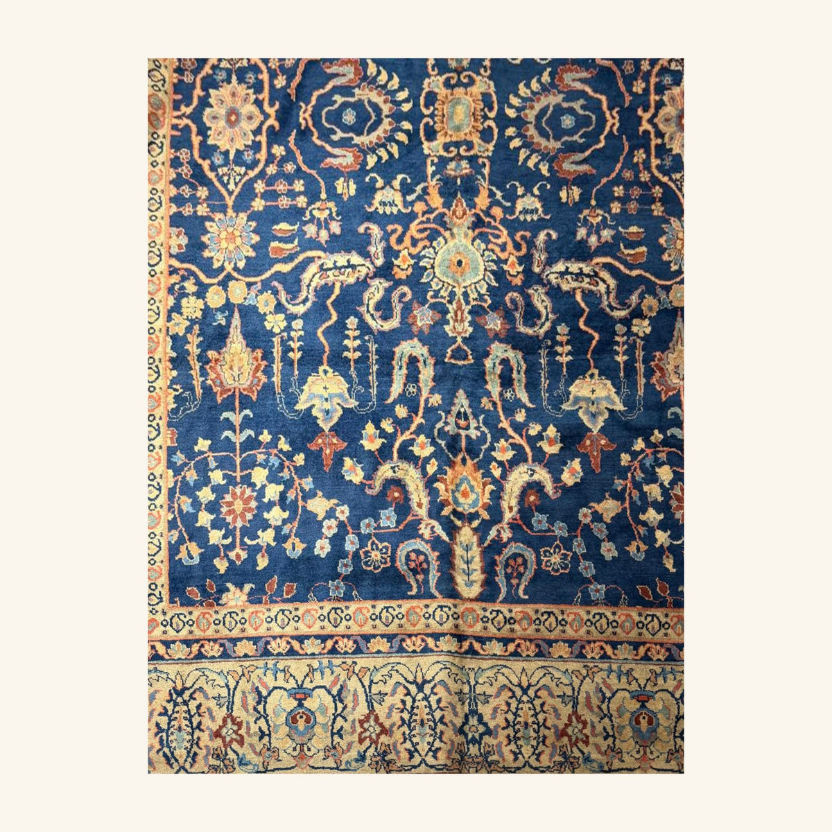 Close-up